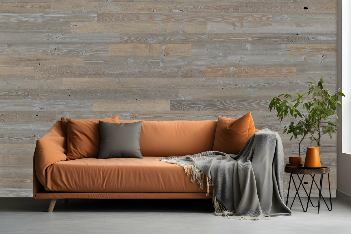 Barnwood in Silver Sky