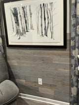 Barnwood in Silver Sky