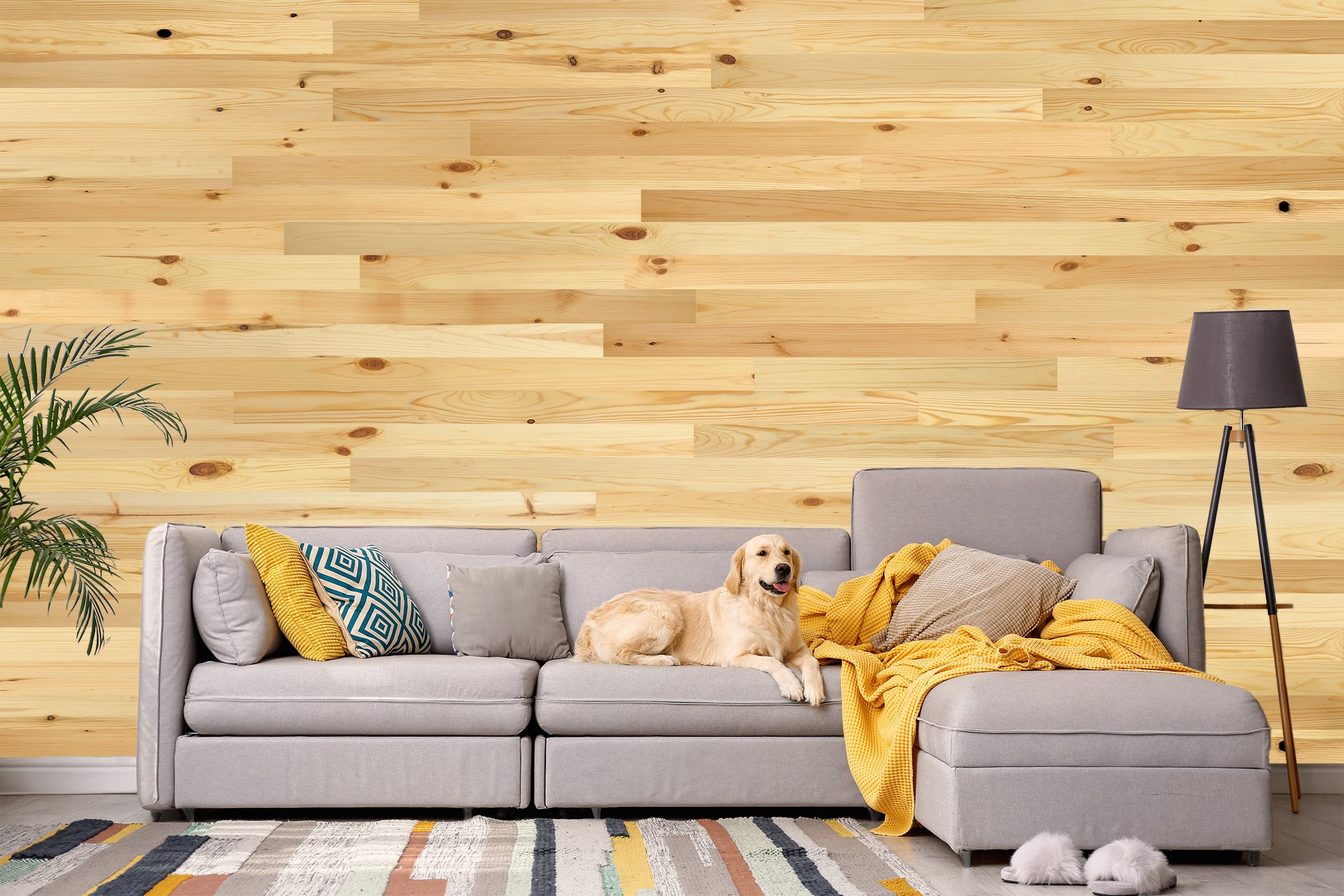 Real Wood Peel and Stick Wall Planks in Baxter Blonde – Timberchíc