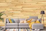 Timber Planks in Baxter Blonde